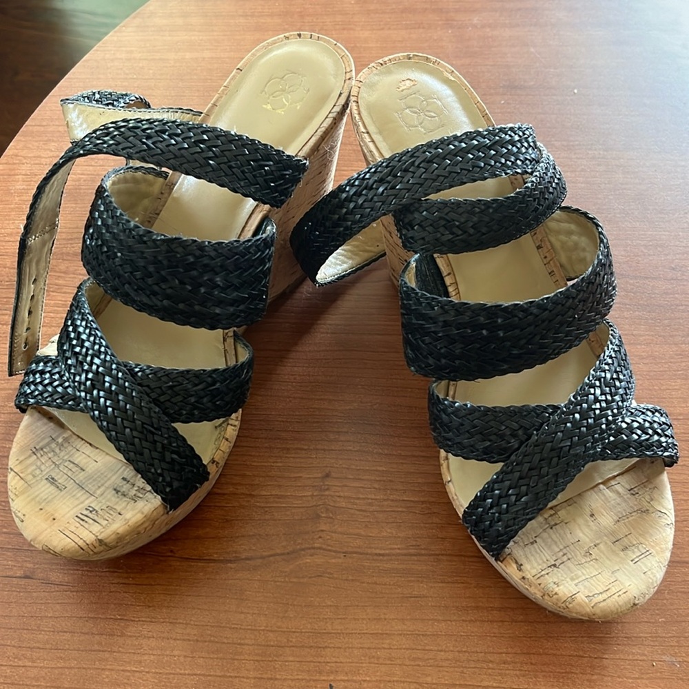 Ann Taylor Wedge